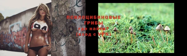 apvp Алексеевка
