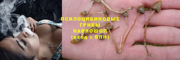 СК Абинск