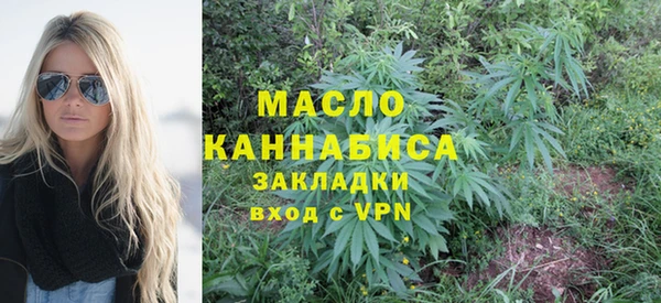 индика Абдулино
