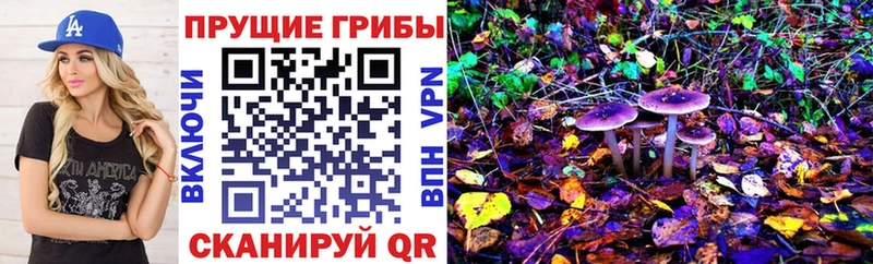 Псилоцибиновые грибы прущие грибы Азов