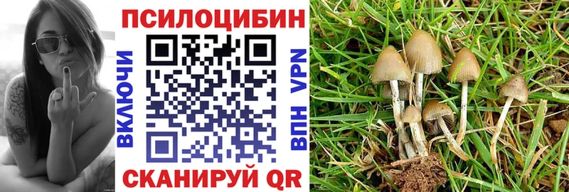купить  сайты  Азов  Галлюциногенные грибы мицелий 